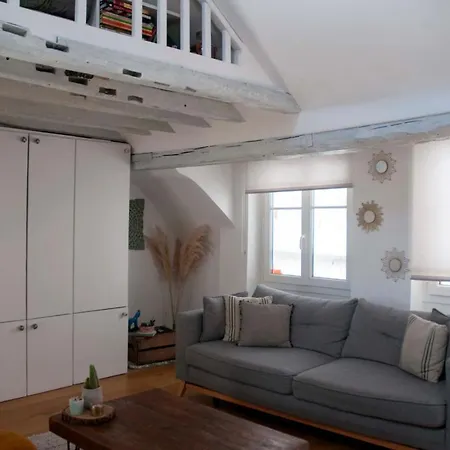 Cosy Studio With Mezzanine In Paris! *